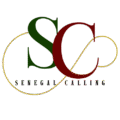 wp.senegalcalling.com